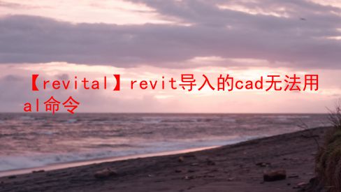【revital】revit导入的cad无法用al命令  第1张