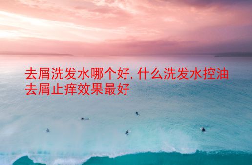 去屑洗发水哪个好,什么洗发水控油去屑止痒效果最好 第1张 去屑洗发水哪个好,什么洗发水控油去屑止痒效果最好 第1张